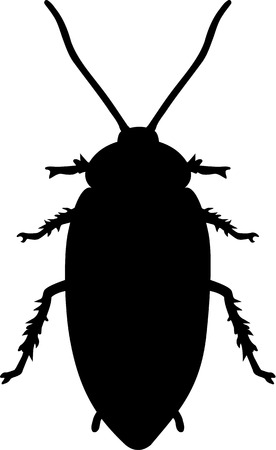 Cockroachのイラスト素材