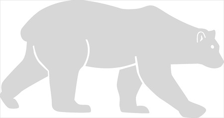 White polar bearのイラスト素材