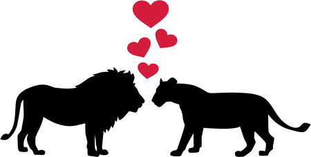 Lions in loveのイラスト素材