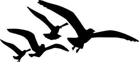 Flying seagullsのイラスト素材