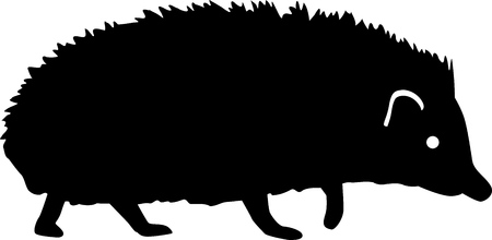 Hedgehog silhouetteのイラスト素材
