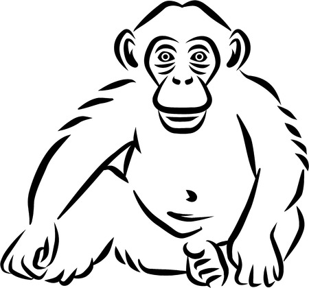 Sitting baby chimpanzee hand drawnのイラスト素材