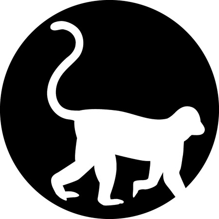 Monkey in front of moonのイラスト素材