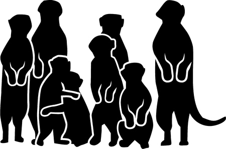 Big Merkat familyのイラスト素材