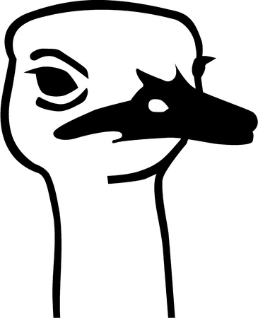 Ostrich headのイラスト素材