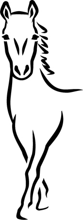 Horse hand drawnのイラスト素材