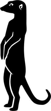 Meerkat silhouette with detailsのイラスト素材
