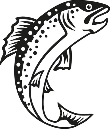 Trout Fishのイラスト素材