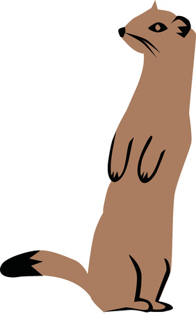 Cute stoatのイラスト素材