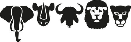 Elephant rhino buffalo lion leopard headsのイラスト素材