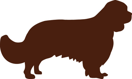Cavalier king charles spaniel silhouetteのイラスト素材