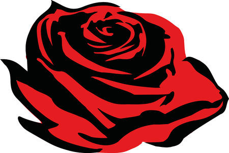 Romantic rose flowerのイラスト素材