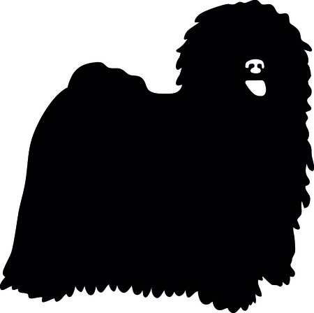 Puli silhouette real in black vector illustration.のイラスト素材
