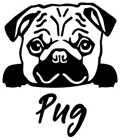Pug head black with nameのイラスト素材