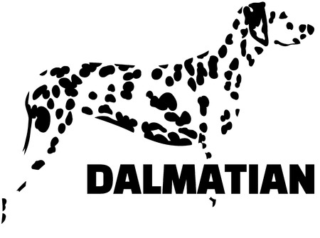 Dalmatian silhouette in black and whiteのイラスト素材