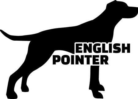 English Pointer silhouette real with wordのイラスト素材