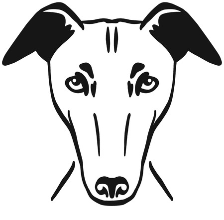 Greyhound head in black and whiteのイラスト素材