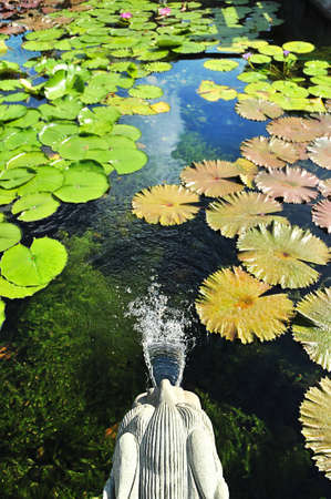 Dragon head statue fountain in the Lotus Pondの写真素材
