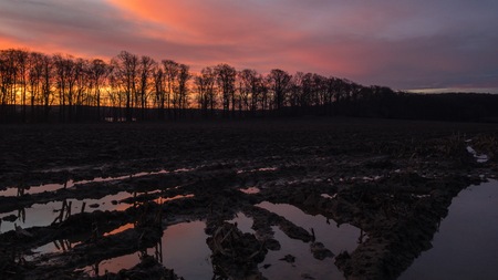 Sunrise over field with puddles