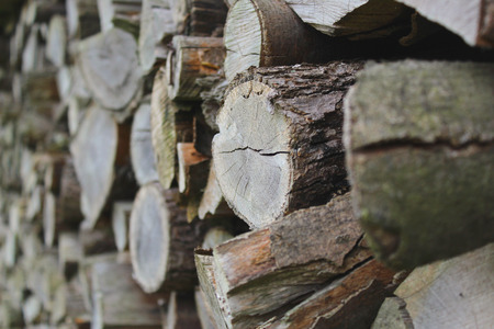 Firewood on a fieldの写真素材
