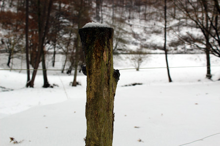 Post of a pasture fence in winterの写真素材