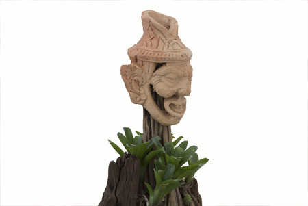 anchorite soil Background whiteの写真素材