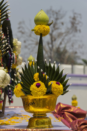 The second bevel the lotusの写真素材