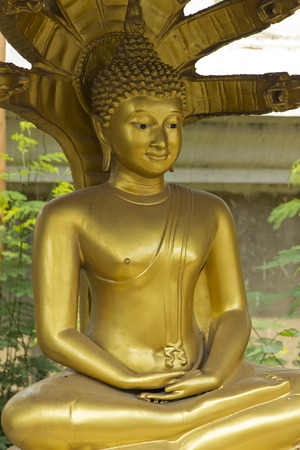 Blonde  Budha statue, sculpture, image, figure Wat Kong Ka Bang Bual Tong at Nonthaburi Thailandの写真素材