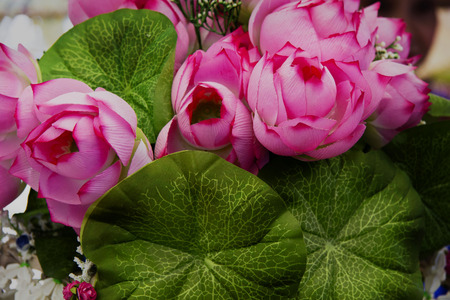 Lotus Model in Garden  Model material make from fabric ,cloth and Moreの写真素材