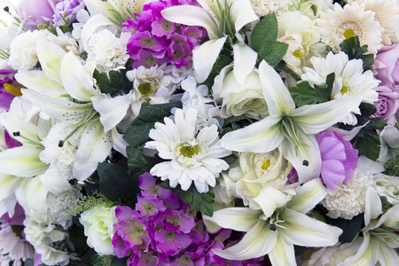 flowers in gardenの写真素材