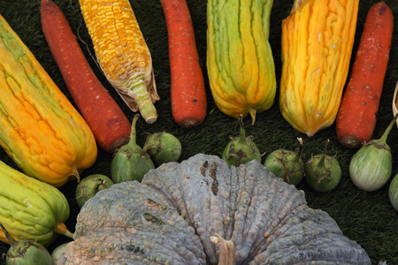Bitter gourd, carrot, pumpkin, eggplant and cornの写真素材