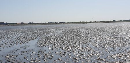 Wadden sea on the north sea at low tideの写真素材