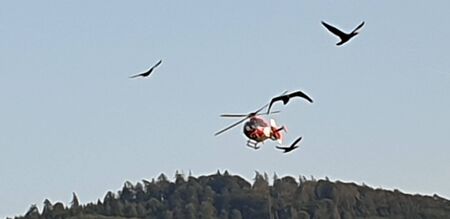 Rescue helicopter in the sky with seagullsの写真素材