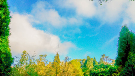 Madeira Beautiful Photosの写真素材