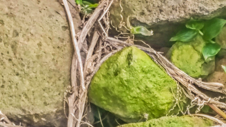 Madeira Beautiful Photosの写真素材