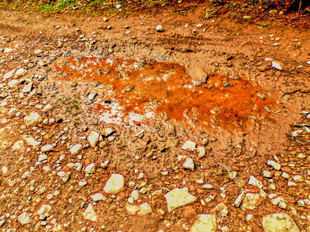 Madeira Beautiful Photosの写真素材