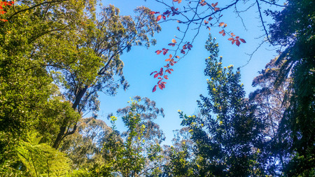 Madeira Beautiful Photosの写真素材