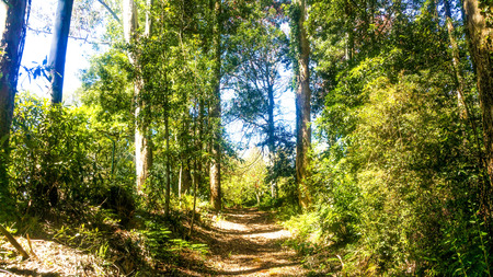 Madeira Beautiful Photos
