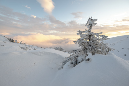 Mala Fatra mountainの写真素材