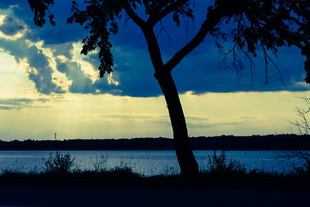 Silhouette a tree in front of body of water, clouds, and sunset.の写真素材