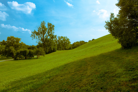 A rolling hill, full of green grass, under a bright summer sky with tall trees in the distance.の写真素材