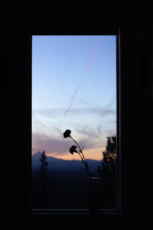 Silhoutte of two carnations through a window with sunset and mountains.の写真素材