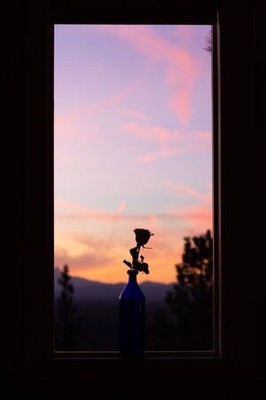 Silhouette of a rose through a window with sunset and mountains.の写真素材