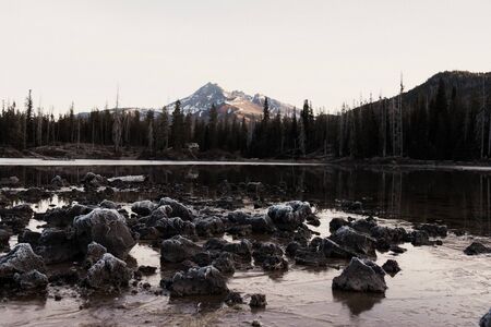 Mountain view with log in foreground and lakeの写真素材
