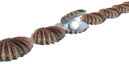 Find a precious pearl of great price in oyster shell in a row of shells 3D renderの写真素材