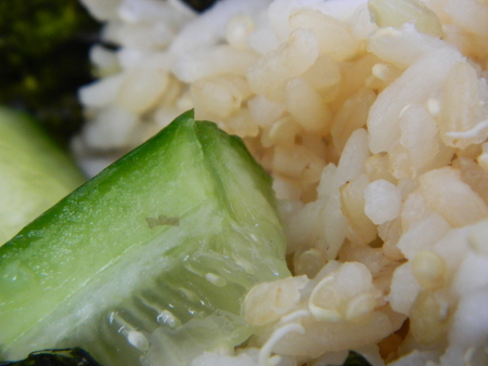Close up of some raw cucumber and cooked brown riceの写真素材