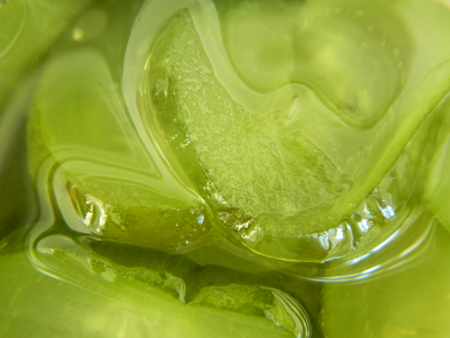 Close up of some sliced cucumber in liquidの写真素材