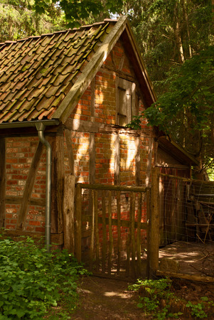 A barn in the forestの写真素材
