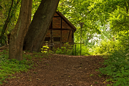 The way through the forestの写真素材