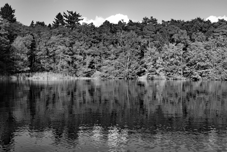 Ein See im Wald in Schleswig Holsteinの写真素材